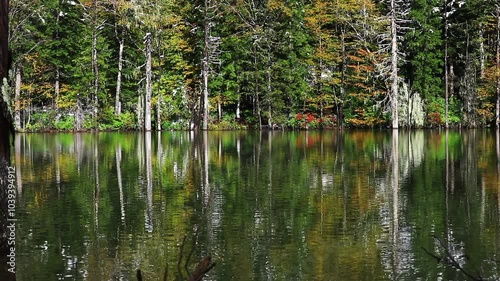 A quiet play in the bosom of nature, the lake
