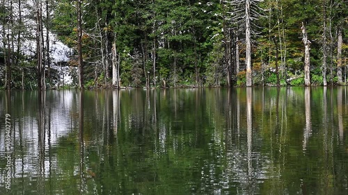 A quiet play in the bosom of nature, the lake
