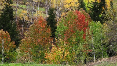 Color beauty of the autumn season
