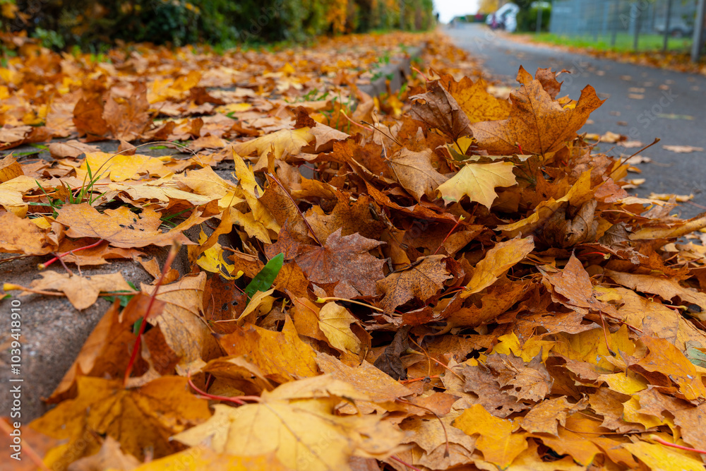 Fallen leaves blanket the sidewalk in front of a quiet suburban street, a picturesque sight of autumn Fallen leaves blanket the sidewalk in front of a quiet suburban street, a picturesque sight of autumn