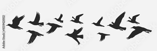 Silhouettes of various birds in flight against a light background.