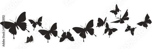 Silhouettes of various butterflies gracefully fluttering against a white background.