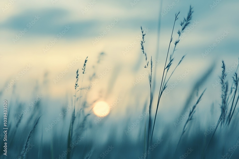 Tall grasses in focus against a soft blue sky, sunset in the distance, blurred background symbolizing nature’s beauty and freedom Tall grasses in focus against a soft blue sky, sunset in the distance, blurred background symbolizing nature’s beauty and freedom