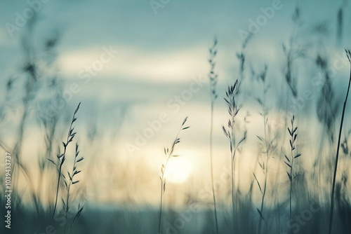 Tall grasses in focus against a soft blue sky, sunset in the distance, blurred background symbolizing nature’s beauty and freedom