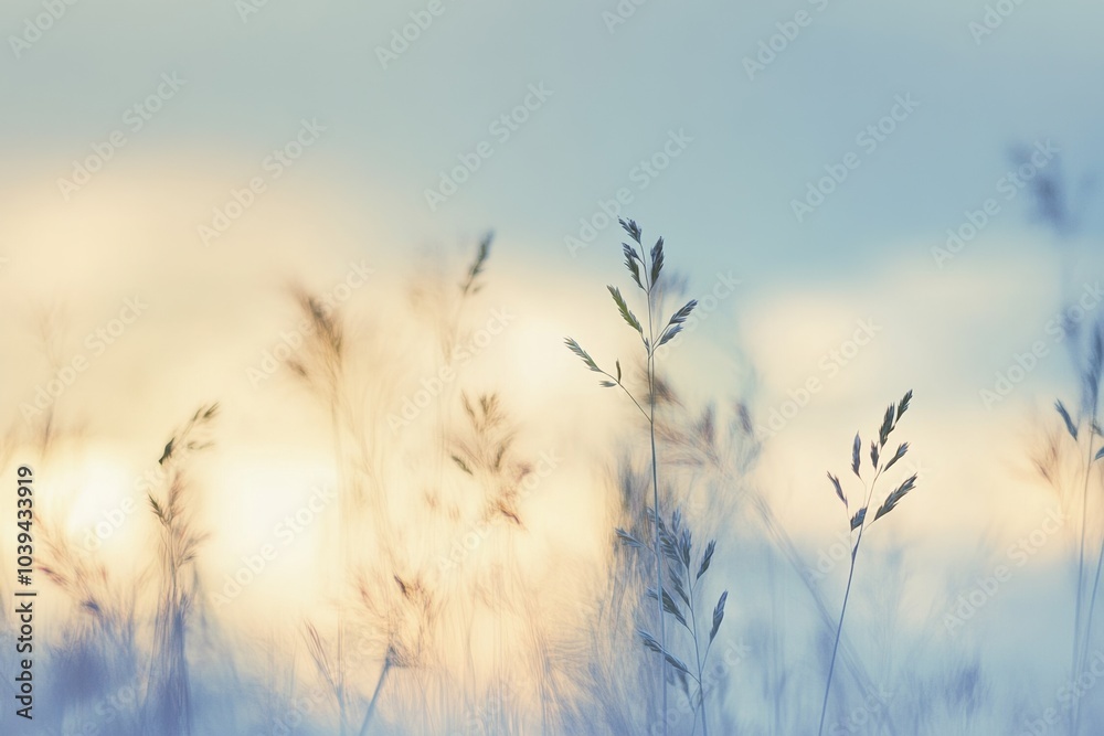 Obraz premium Tall grasses in focus against a soft blue sky, sunset in the distance, blurred background symbolizing nature’s beauty and freedom