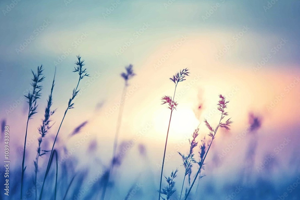 Tall grasses in focus against a soft blue sky, sunset in the distance, blurred background symbolizing nature’s beauty and freedom Tall grasses in focus against a soft blue sky, sunset in the distance, blurred background symbolizing nature’s beauty and freedom