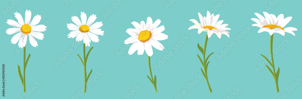 Five white daisies with green stems on a vibrant blue background illustrate nature's simplicity and beauty. Five white daisies with green stems on a vibrant blue background illustrate nature's simplicity and beauty.