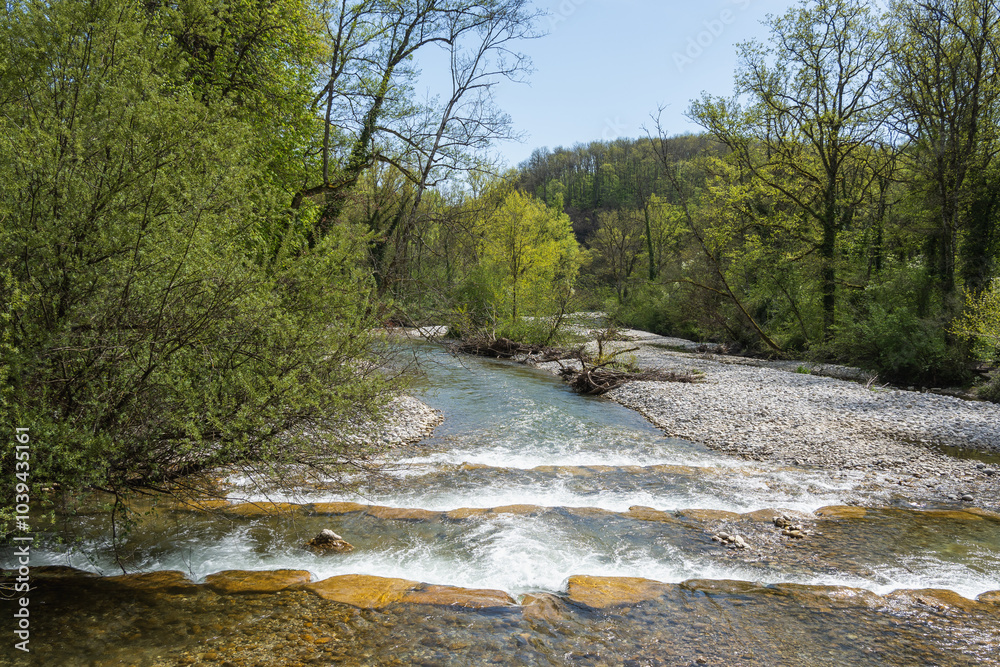 Obraz premium l'Alondon juste avant de rejoindre le Rhône, 