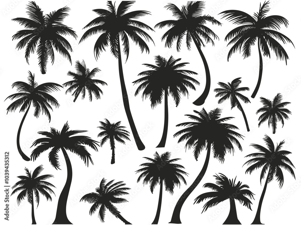Silhouettes of various palm trees against a white background, evoking a tropical and serene atmosphere. Silhouettes of various palm trees against a white background, evoking a tropical and serene atmosphere.
