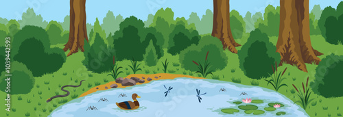 Pond ecosystem. Ecosystem of with different animals in their natural habitat. Pond ecosystem structure for biology lessons. Vector cartoon illustration