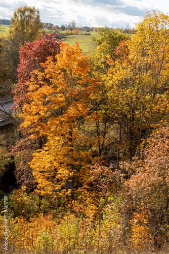 gorgeous autumn landscape with bright and colorful trees, typical Latvian golden autumn landscape photo