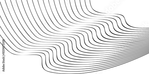 Vector illustration of black line waves on a white background