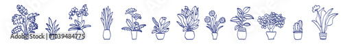 Indoor plant in a pot. Black and white sketch collecton. Vector doodle line illustration set. Monstera, philodendron, scarlet, orchid and snake plant. Gerbera, peace lily, chamomile, rubber and cactus