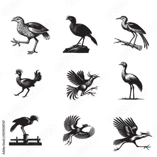 Collection of Red-legged seriema Vector illustration - Cute Cariama cristata Bird Silhouette Design
