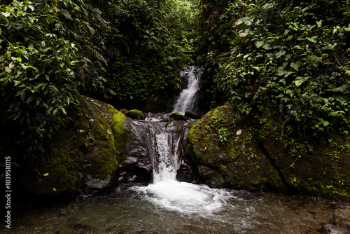 Waterfall amidst plants in forest photo