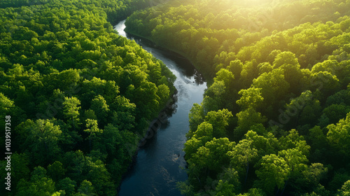 Lush green forest surrounds winding river, creating serene and tranquil landscape. sunlight filters through trees, enhancing vibrant colors of nature