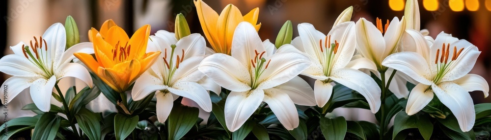A bunch of white and yellow flowers are arranged together. The yellow flowers are positioned in the middle of the bouquet, with the white flowers surrounding them A bunch of white and yellow flowers are arranged together. The yellow flowers are positioned in the middle of the bouquet, with the white flowers surrounding them