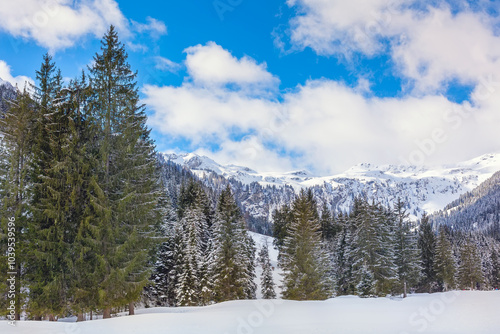 Panoramic winter landscape in the mountains