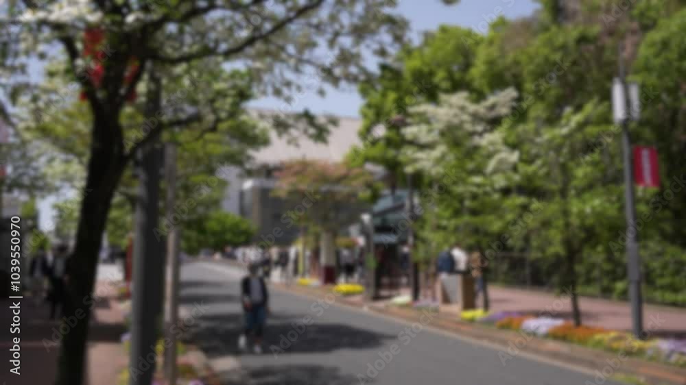 Blurred defocused view of Japanese people walk along the streets, the spring time as the Florida dogwood trees along the avenue burst into full bloom, creating a floral tapestry in the city avenue Blurred defocused view of Japanese people walk along the streets, the spring time as the Florida dogwood trees along the avenue burst into full bloom, creating a floral tapestry in the city avenue