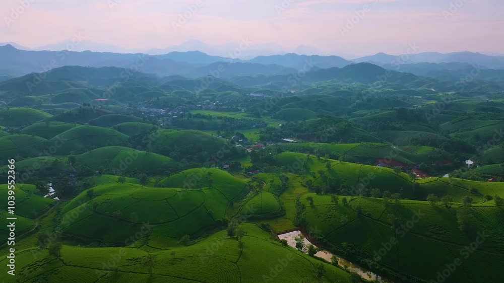 Aerial view of Long Coc tea hills, Phu Tho province, Vietnam. Beautiful green tea plantation in Vietnam. Nature background. Aerial view of Long Coc tea hills, Phu Tho province, Vietnam. Beautiful green tea plantation in Vietnam. Nature background.