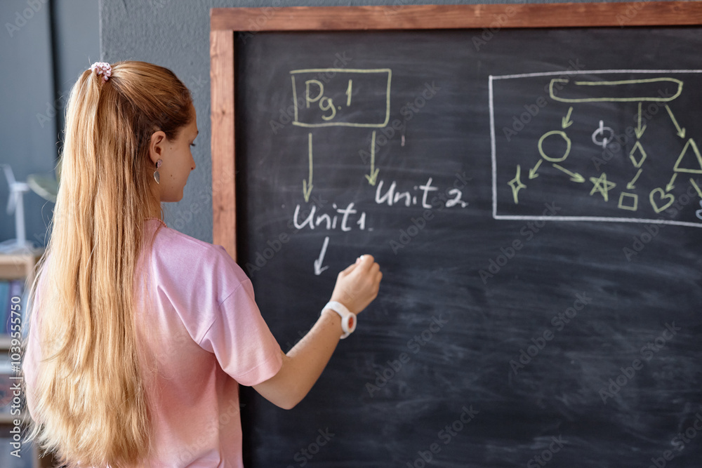 Back view of teenage girl with blonde long hair drawing programming scheme on blackboard during IT lesson for children copy space Back view of teenage girl with blonde long hair drawing programming scheme on blackboard during IT lesson for children copy space