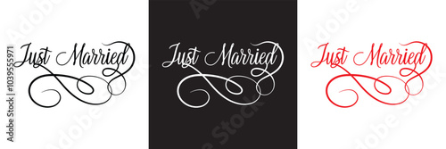 Just married lettering calligraphy.  Vector illustration isolated on white and black background. EPs 10