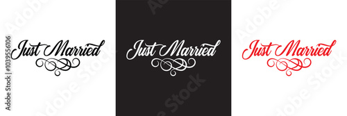 Just married lettering calligraphy.  Vector illustration isolated on white and black background. EPs 10