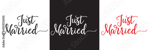 Just married lettering calligraphy.  Vector illustration isolated on white and black background. EPs 10