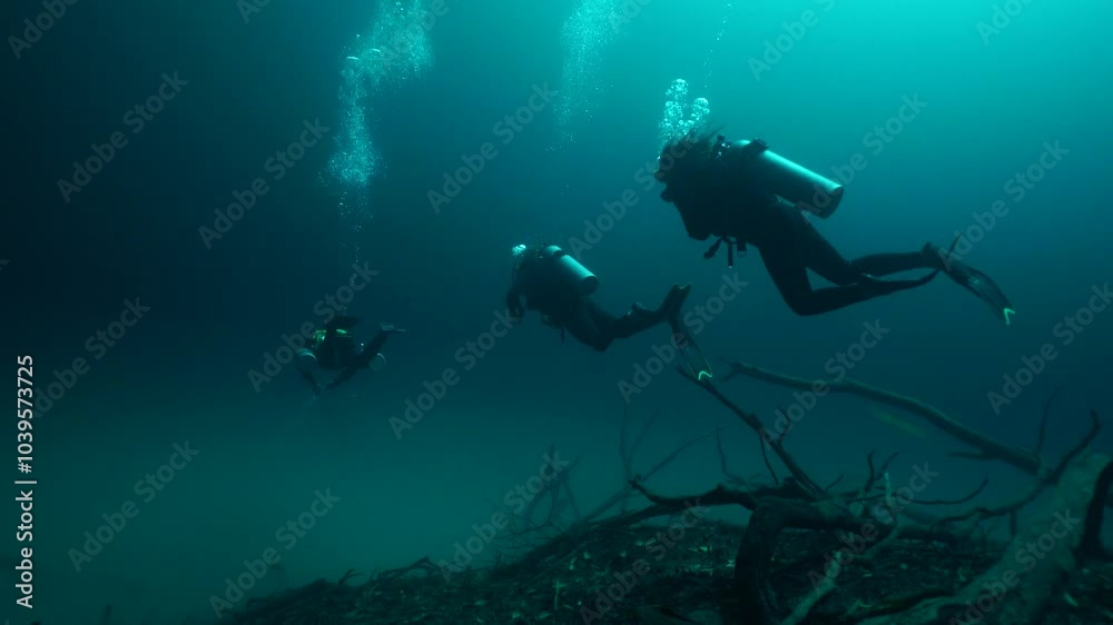 group of divers, diving cenote Angelita for the firs time group of divers, diving cenote Angelita for the firs time
