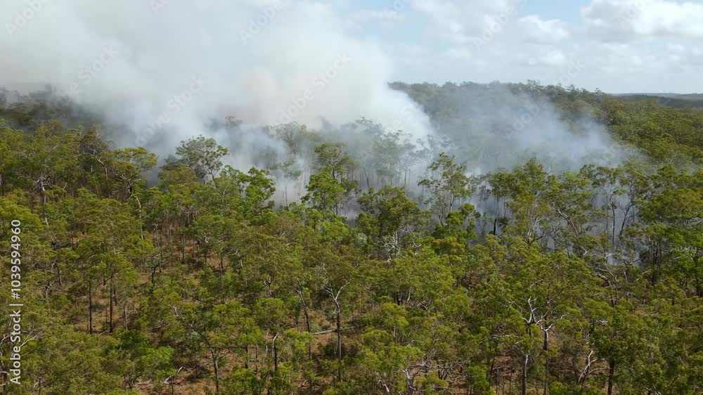 Bushfire in the Australian outback. Aerial static clip 3 Bushfire in the Australian outback. Aerial static clip 3