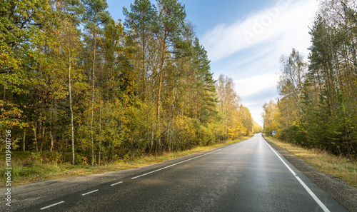 A road with trees on either side and a clear blue sky