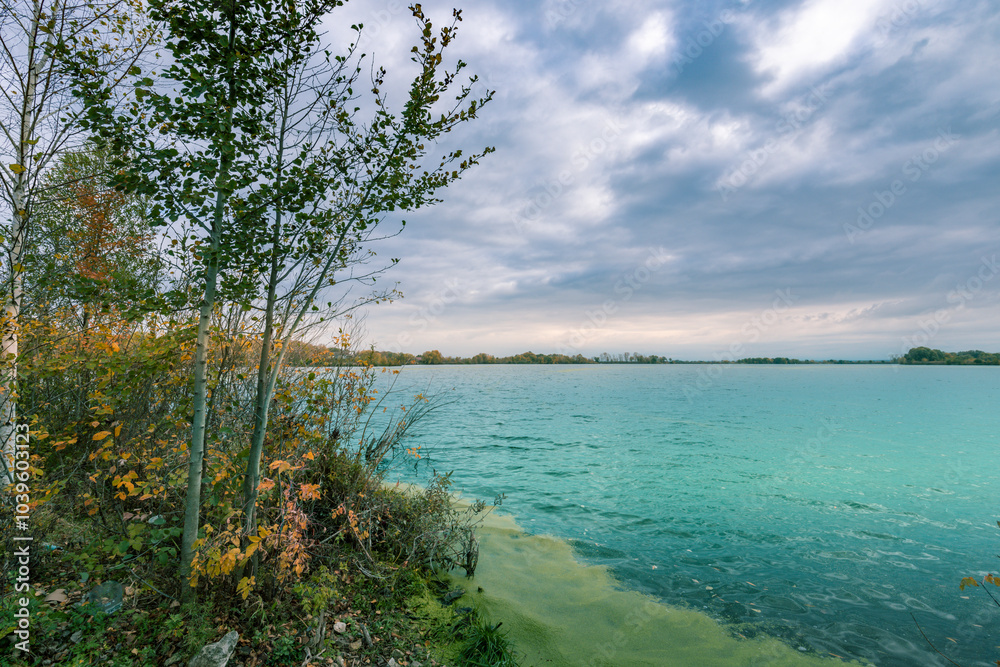 A lake with a few trees in the background A lake with a few trees in the background