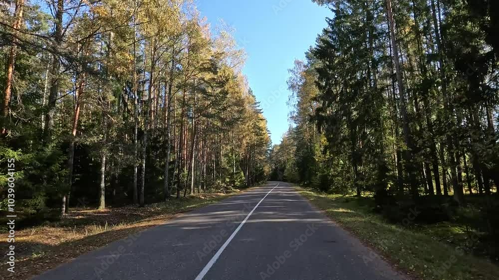 custom made wallpaper toronto digitalRoad view on a autumn day. Highways and sun, roadside and white road line markings.
