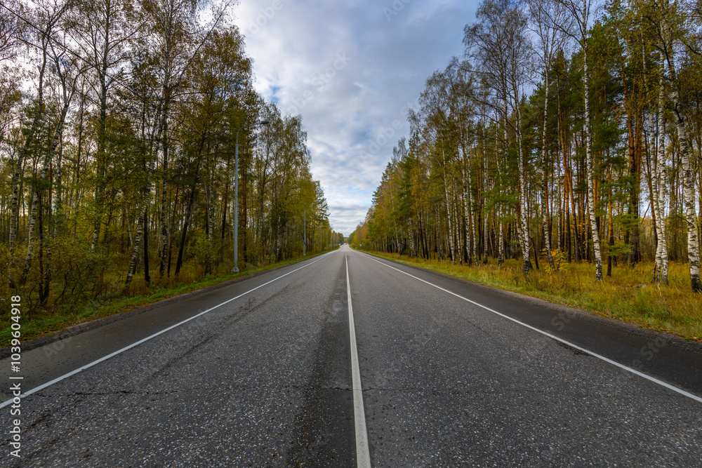 A road with trees on both sides and a clear blue sky A road with trees on both sides and a clear blue sky