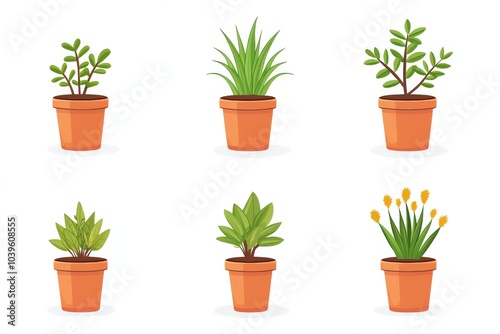 Wallpaper Mural Potted plants arranged in neat rows symbolizing indoor gardening houseplant care and organized plant styling trends for modern homes or offices Torontodigital.ca