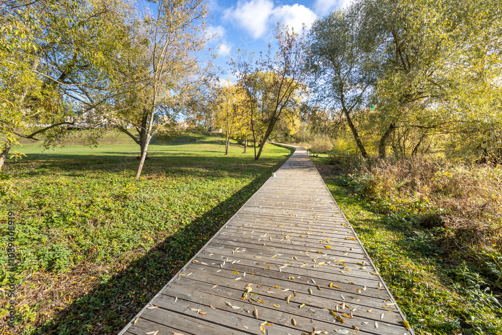 Fototapeta premium A path in a park with trees and leaves on the ground