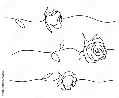 One line drawing. Set of gardens rose with long stem and leaves. Hand drawn sketch. Border design elements. Vector illustration.	
