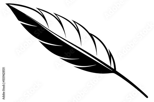 feather  silhouette vector illustration