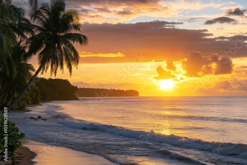 A serene sunset over a tranquil beach lined with palm trees, capturing the golden hues and peaceful ambiance of nature's beauty along the ocean's edge.