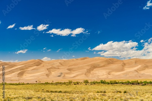 Vast sand dunes under a blue sky at Great Sand Dunes National Park, Colorado photo