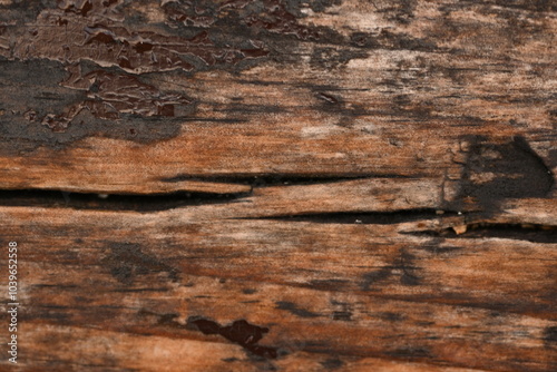 Fotografie wet brown wood flooring abstract as background, old wood texture close up as a b