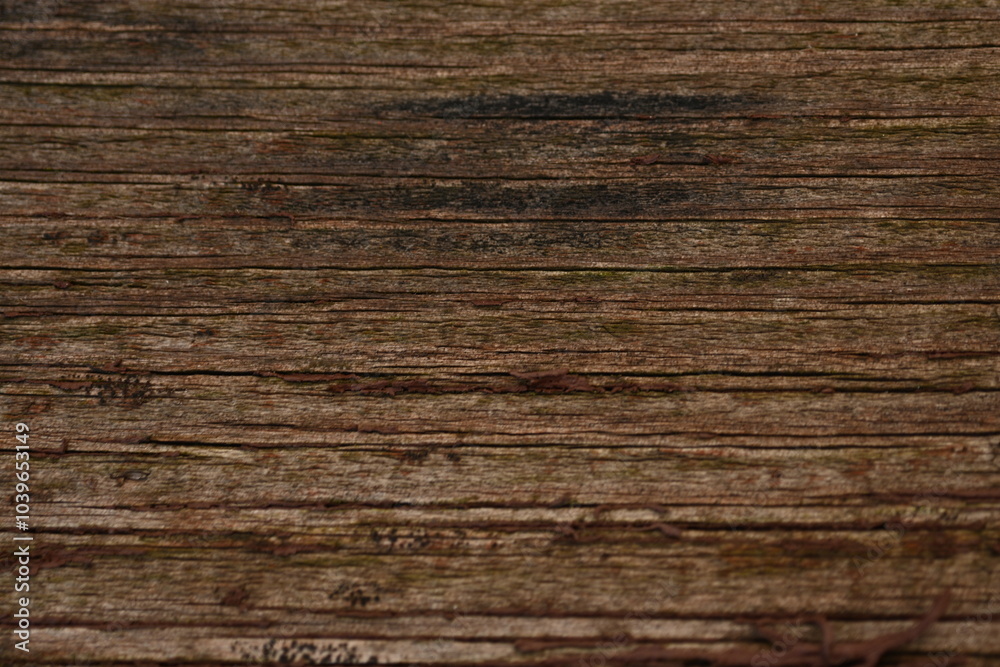 wet brown wood flooring abstract as background, old wood texture close up as a background, wet brown wood flooring abstract as background, old wood texture close up as a background,
