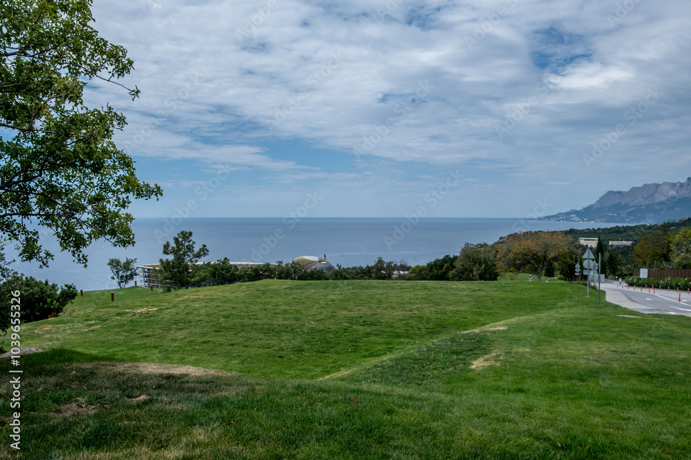 A green lawn with grass on the background of the sea on a summer day. A green lawn with grass on the background of the sea on a summer day.