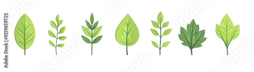 Various green leaves with different shapes and sizes on a white isolated background. transparent background