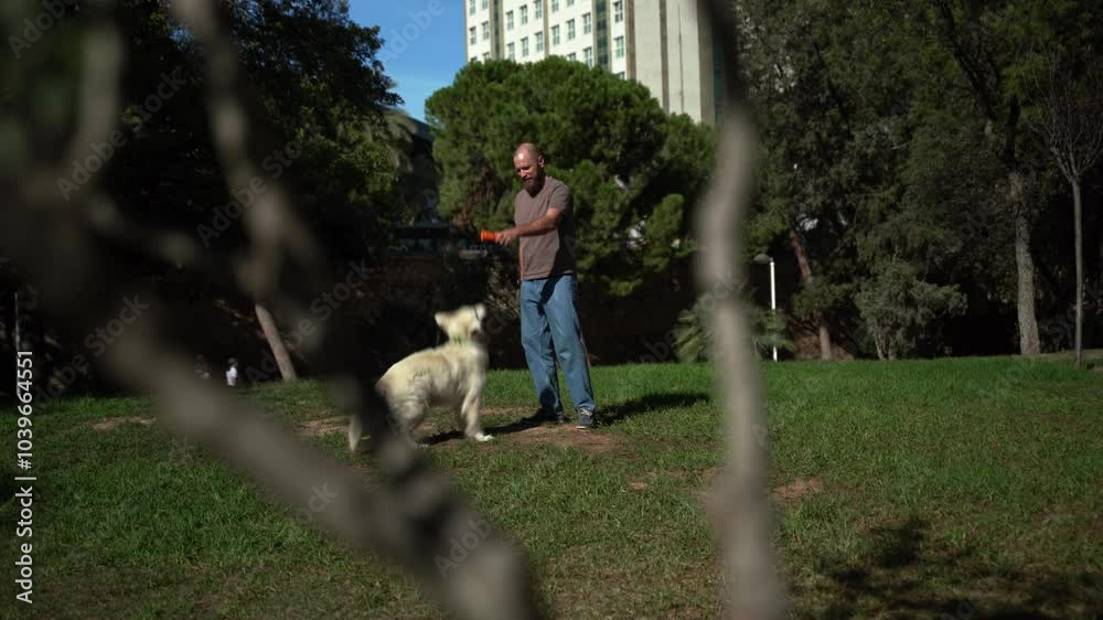 Man playing fetch Oporto with his happy pet dog golden retriever outside in public park during summer. Owner takes care about his pet. Mental health of domestic animals,