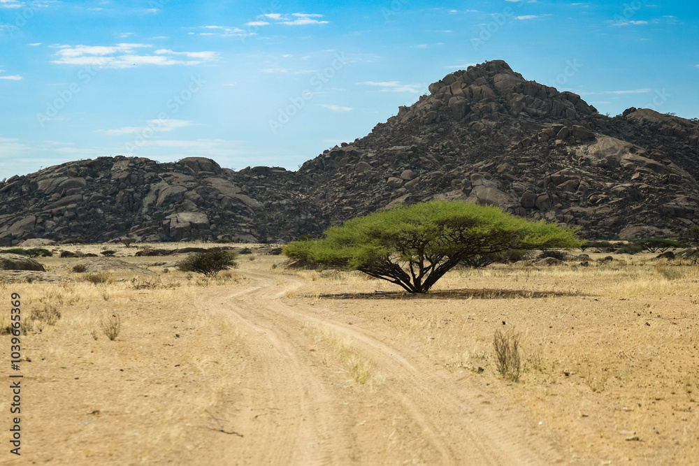 Exploring the vast landscapes of Iona National Park in Angola with a solitary tree against rocky hills Exploring the vast landscapes of Iona National Park in Angola with a solitary tree against rocky hills