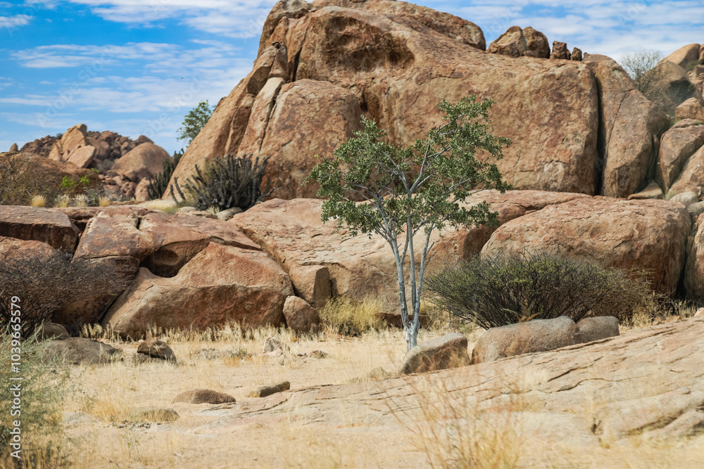Exploring Iona National Park in Angola highlighting stunning rock formations and resilient flora in a tranquil landscape