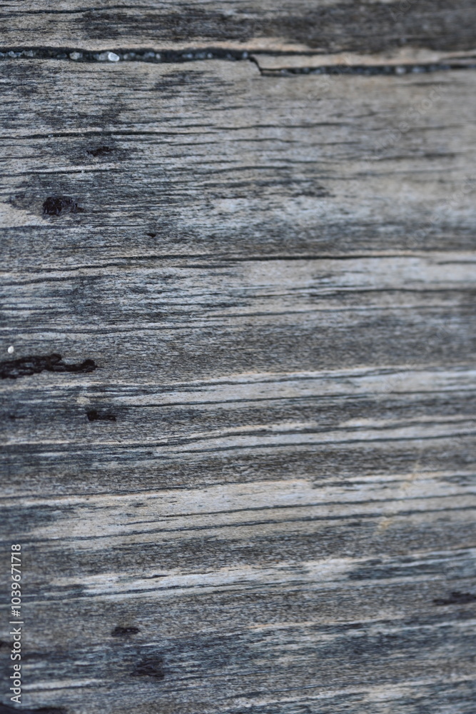 wet grey wood flooring abstract as background, old wood texture close up as a background, wet grey wood flooring abstract as background, old wood texture close up as a background,