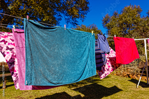 Multi-colored washing hanging on a clothesline in a garden with green grass on a sunny day and a blue sky photo