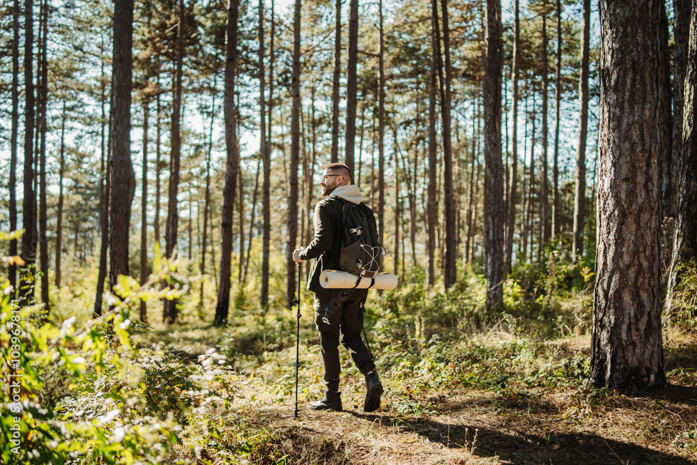 Obraz premium Young caucasian man hiking or trekking through the forest 